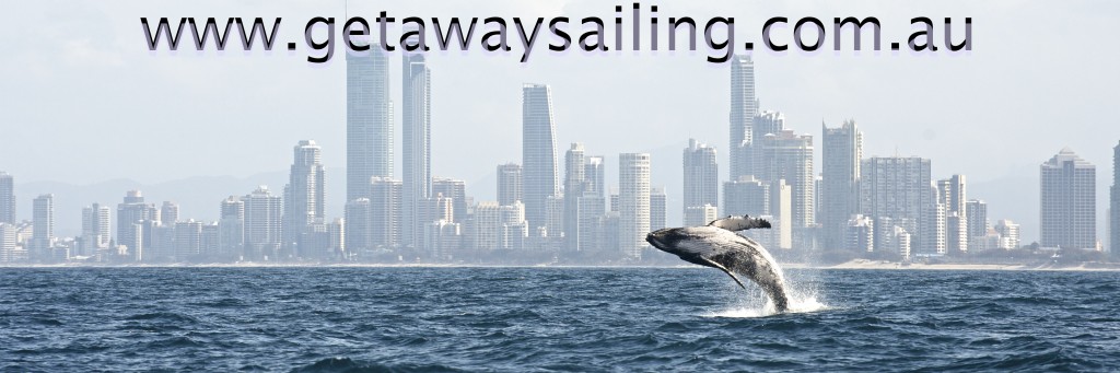 Whale Watching Gold Coast